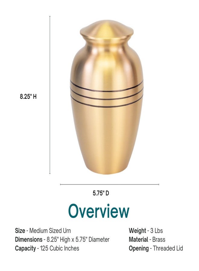 Silverlight Urns جرة حرق جثث كلاسيكية بثلاثة أشرطة ذهبية - متوسطة الحجم، نحاس، جرة ذهبية، جرة للأطفال، جرة حرق جثث متوسطة الحجم، ارتفاع 8.25 بوصة - Image 5
